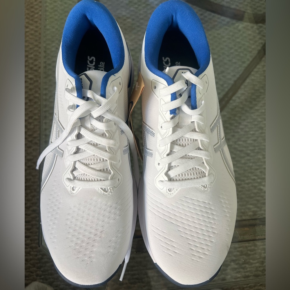 ASICS Men's Athletic Shoes in White and Blue